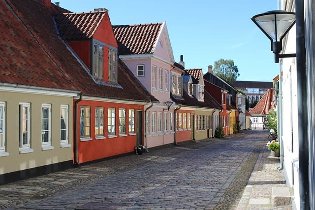 Elselskaber Odense