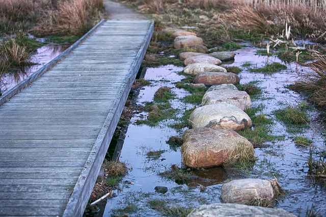 Elselskaber i Viborg