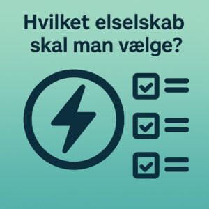 Hvilket elselskab skal man vælge?