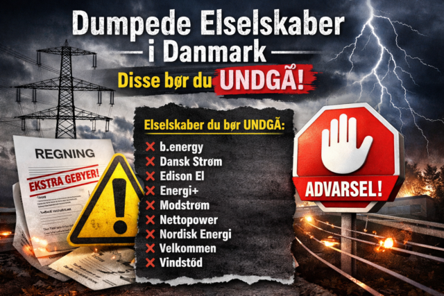 Dumpede elselskaber i Danmark