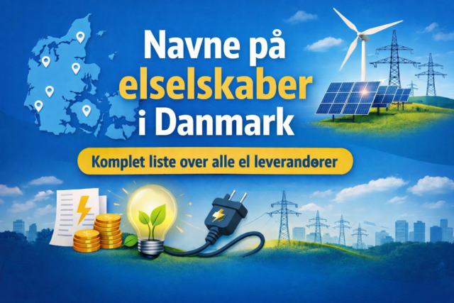 Navne på elselskaber i Danmark